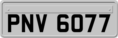 PNV6077