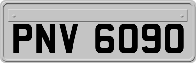 PNV6090