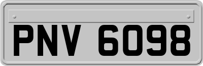 PNV6098
