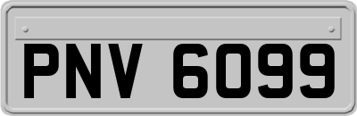 PNV6099