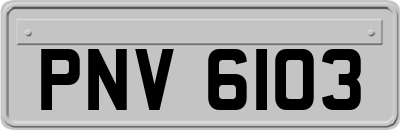 PNV6103
