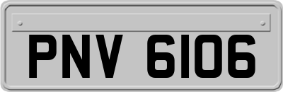 PNV6106