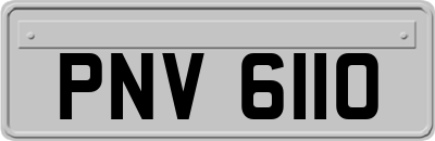 PNV6110
