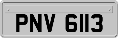 PNV6113