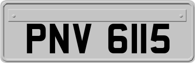 PNV6115