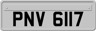 PNV6117