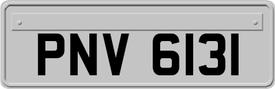 PNV6131