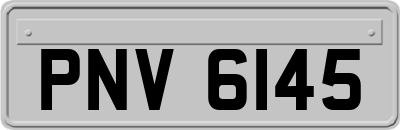 PNV6145