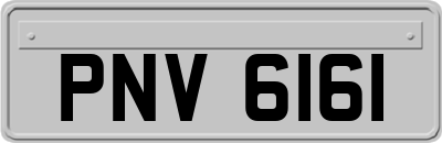 PNV6161