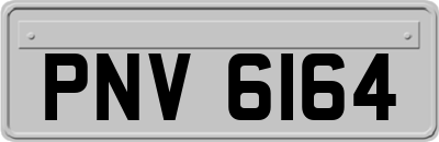 PNV6164