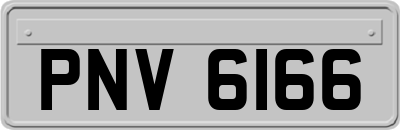 PNV6166