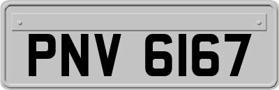 PNV6167