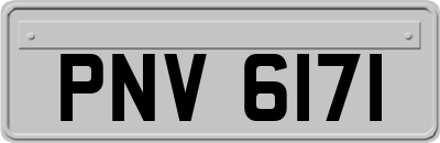 PNV6171