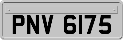 PNV6175