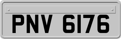 PNV6176
