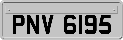 PNV6195