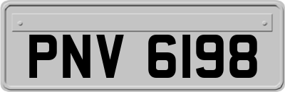 PNV6198