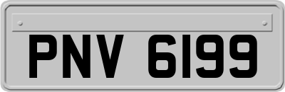 PNV6199