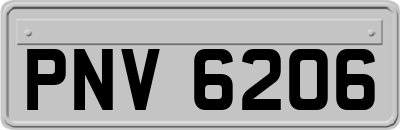 PNV6206