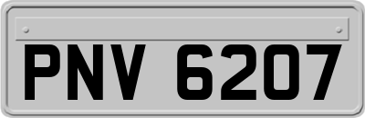 PNV6207
