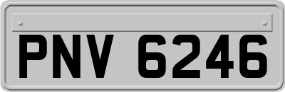 PNV6246