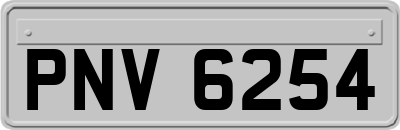 PNV6254