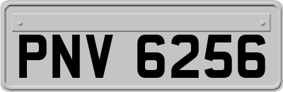 PNV6256