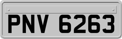 PNV6263