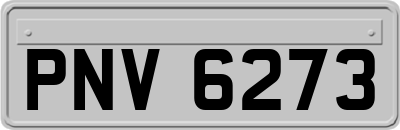 PNV6273