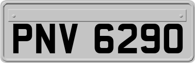 PNV6290