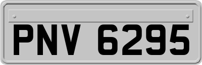 PNV6295