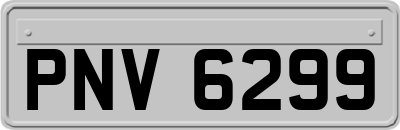 PNV6299