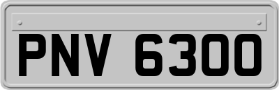 PNV6300