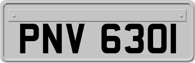 PNV6301