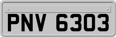 PNV6303