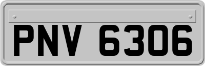 PNV6306