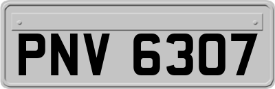 PNV6307