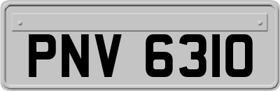 PNV6310