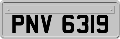 PNV6319