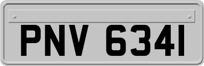PNV6341