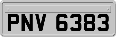 PNV6383