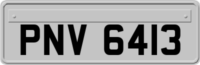 PNV6413