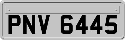 PNV6445