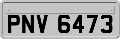 PNV6473