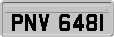 PNV6481