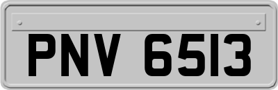 PNV6513