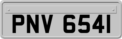 PNV6541