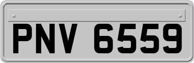 PNV6559