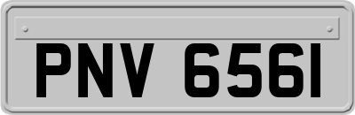 PNV6561