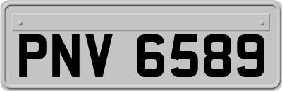 PNV6589